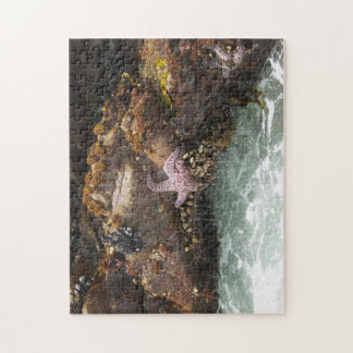 Starfish Tidepool Legpuzzel