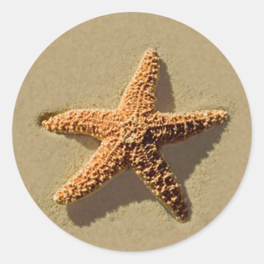 Starfish Tropical Beach Wedding Envelope Seal Ronde Sticker (Voorkant)
