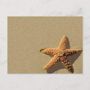 Starfish Tropical Event Beach Weduwuitnodiging Briefkaart