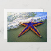 Starfish Tropical Sandy Beach Zee Wave Briefkaart (Voorkant / Achterkant)