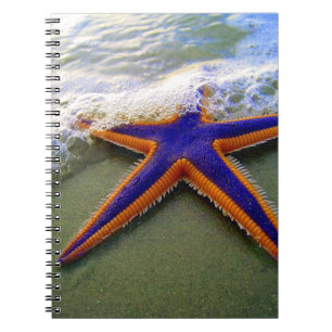 Starfish Tropical Sandy Beach Zee Wave Notitieboek
