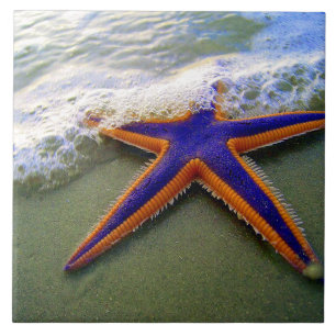 Starfish Tropical Sandy Beach Zee Wave Tegeltje