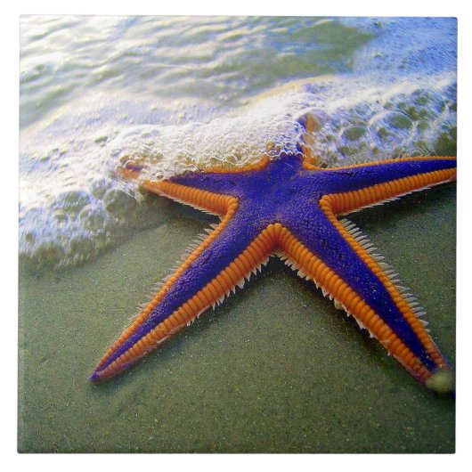 Starfish Tropical Sandy Beach Zee Wave Tegeltje (Voorkant)