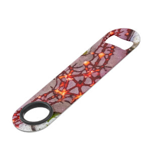 Starfish, Zanzibar, Tanzania Speed Flessenopener