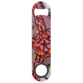 Starfish, Zanzibar, Tanzanie (Devant)