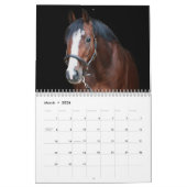 Stargazer Boerderijen Kalender (Mar 2026)