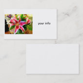 stargazer carte de visite (Devant / Derrière)