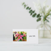 stargazer carte de visite (Debout devant)