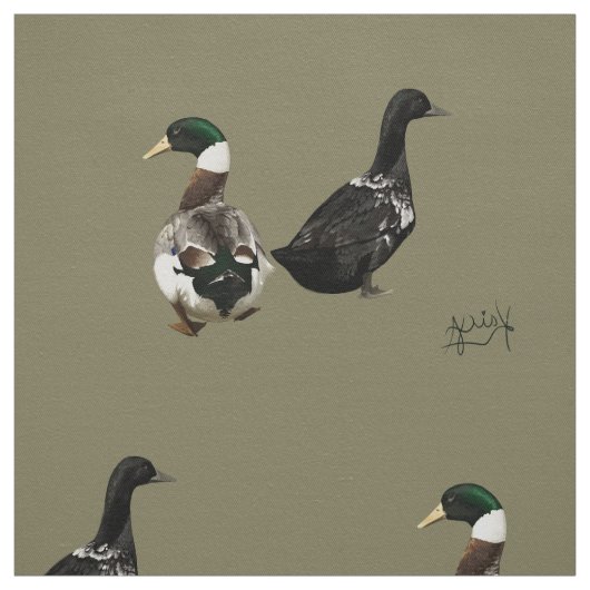 Stargazer draet son tissu de canard Lady (Échantillon)