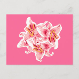 Stargazer Lilies Briefkaart
