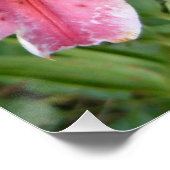 Stargazer Lilies Garden Floral Perfect Poster (Hoek)