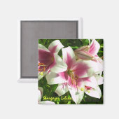 Stargazer Lilies Magnet (Recto/Verso)