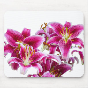 Stargazer Lilies Muismat