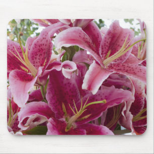 Stargazer Lilies Muismat