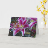 Stargazer Lilies Pink & Magenta Kaart (Gele Bloem)
