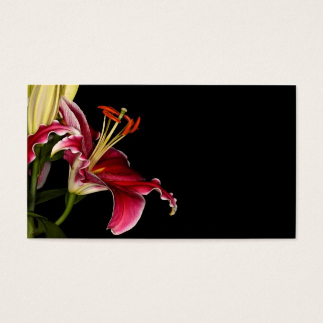 Stargazer Lily (Devant)