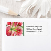 Stargazer Lily adreslabel Etiket (Insitu)