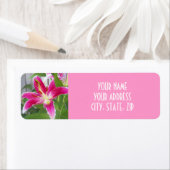 STARGAZER LILY ADRESLABEL ETIKET (Insitu)