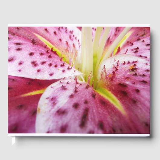Stargazer Lily Bright Magenta Floral Gastenboek (Voorkant)