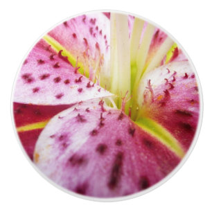 Stargazer Lily Bright Magenta Floral Keramische Knop