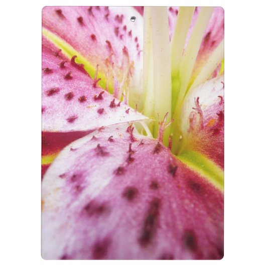 Stargazer Lily Bright Magenta Floral Klembord (Achterkant)