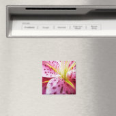 Stargazer Lily Bright Magenta Floral Magneet (Insitu (Vaatwasser))