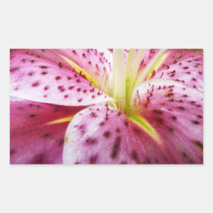 Stargazer Lily Bright Magenta Floral Rechthoekige Sticker