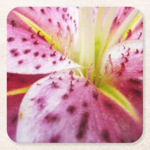 Stargazer Lily Bright Magenta Floral Vierkante Kartonnen Onderzetter