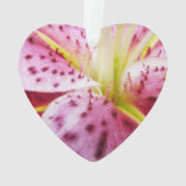 Stargazer Lily brillant Magenta Floral (dos)