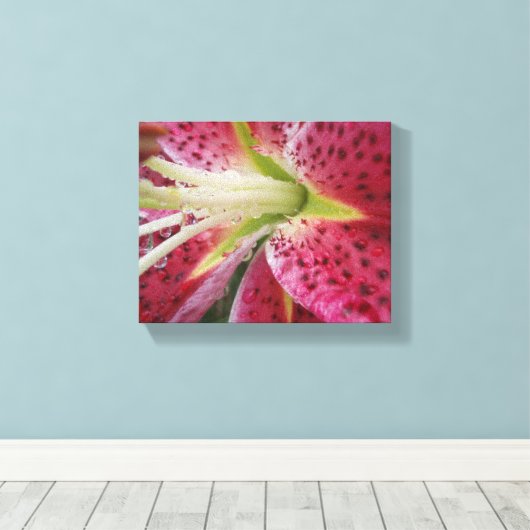 Stargazer Lily Canvas Afdruk (Insitu (Houten vloer))