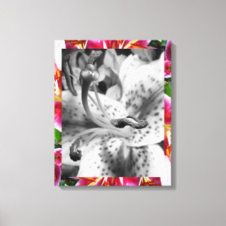 Stargazer Lily Canvas Afdruk