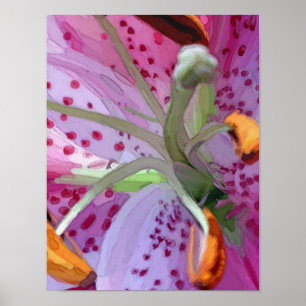 Stargazer Lily Digital Painting Poster