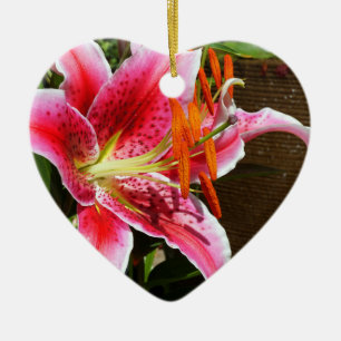Stargazer Lily Fotograaf Ornament