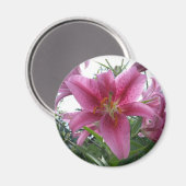Stargazer Lily Magneet (Voorkant / Achterkant)