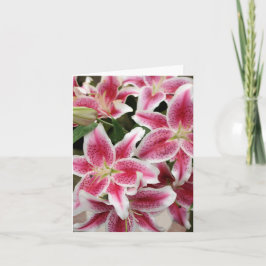 Stargazer Lily Note Kaart - Blank