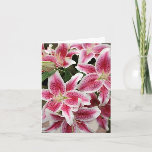 Stargazer Lily Note Kaart - Blank (Voorkant)