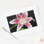 Stargazer Lily Rechthoekige Sticker (Envelop)
