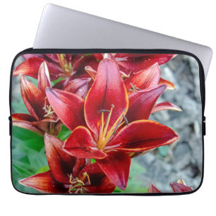 Stargazer Lily, Rode Bloem Fotografie Laptop Sleeve