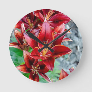 Stargazer Lily Ronde Klok