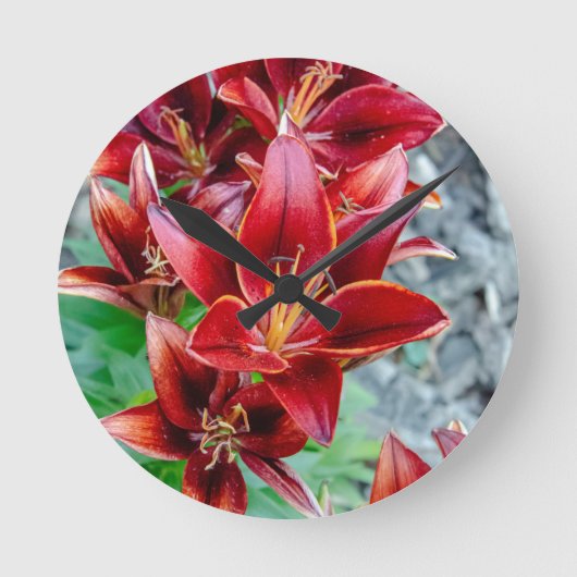 Stargazer Lily Ronde Klok (Voorkant)