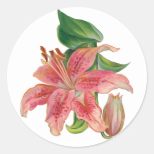 Stargazer Lily Ronde Sticker