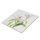 Stargazer Lily Tegeltje (Zijkant)