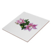 Stargazer-orientale leugens tegeltje (Zijkant)