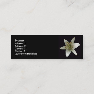 Stargazer Profile Card Mini Visitekaartje