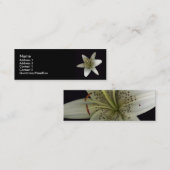 Stargazer Profile Card Mini Visitekaartje (Voorkant / Achterkant)