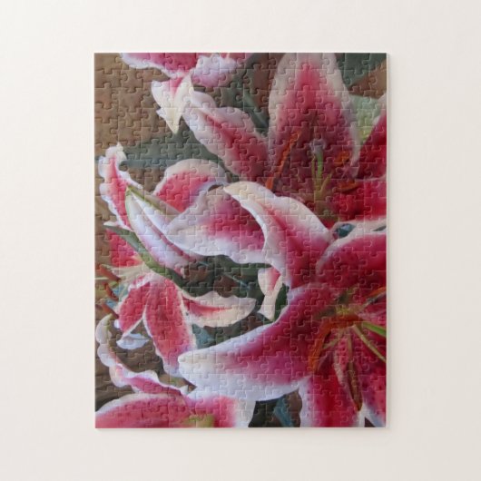 Stargazers-1 Legpuzzel (Verticaal)