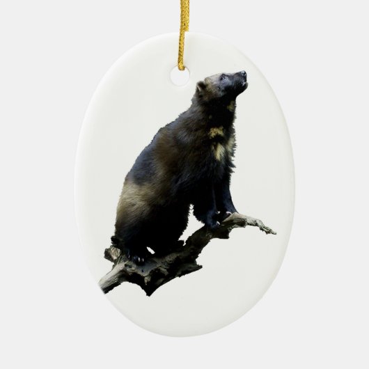 Stargazing Wolverine Keramisch Ornament (Voorkant)