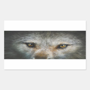 Staring Grijze Wolf Eyes Wildlife Art Rechthoekige Sticker