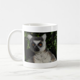 Staring Lemur Koffiemok