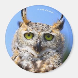 Staring met een prachtige, grote hoornvlieg magneet